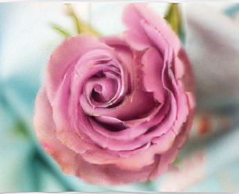 esrgan - AI model preview image